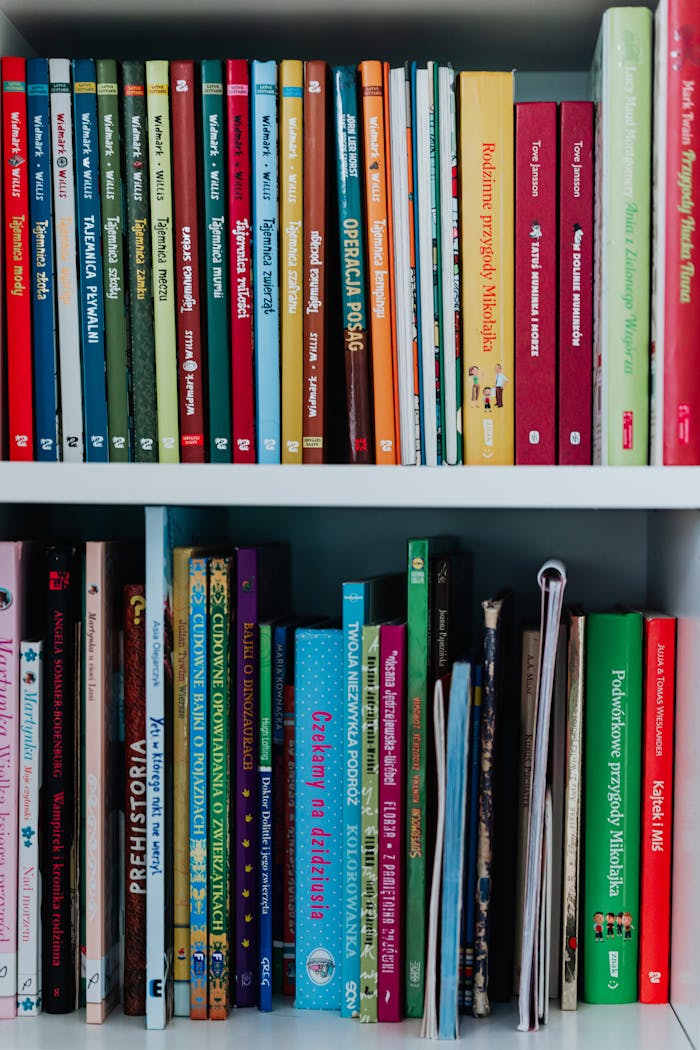Assorted books organized on a shelf showcasing vibrant covers.
